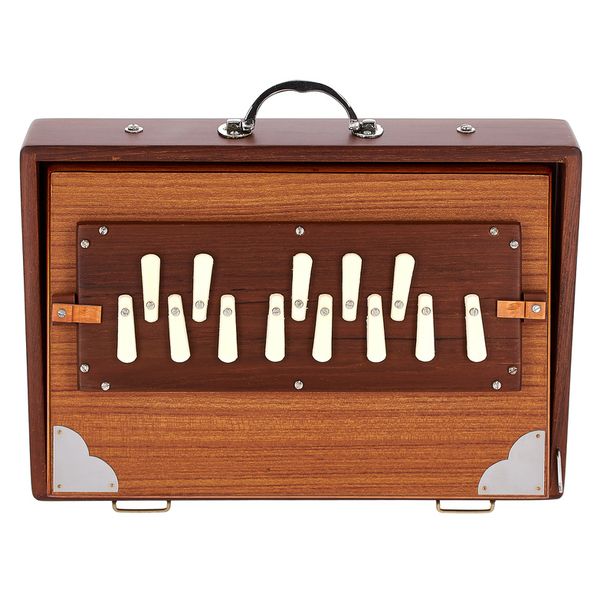 Thomann Nataraj Prof. Shruti C-C Small