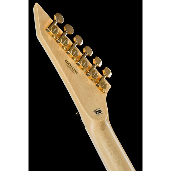 ESP Edwards E-ARROWHEAD