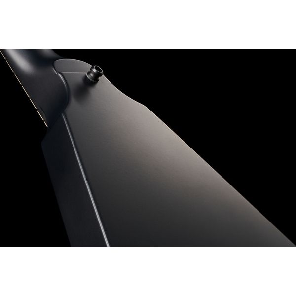 ESP Vulture BKS Hetfield