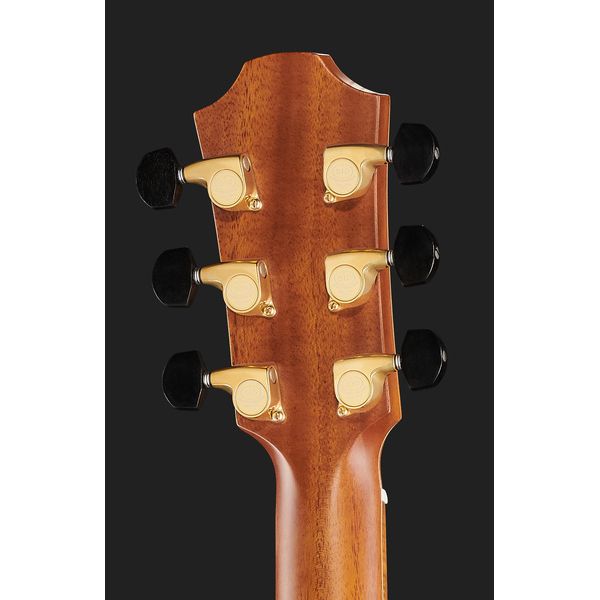 Furch Rainbow Gc-SZ 2024