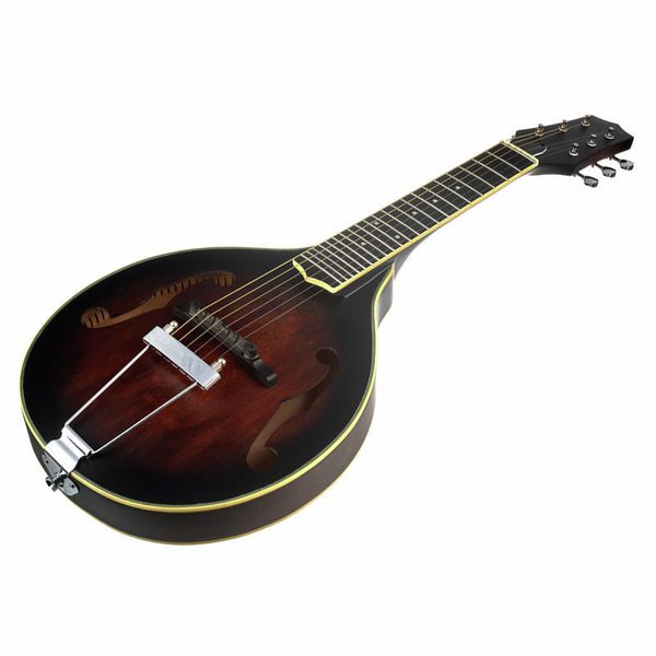 Gold Tone A-6 Mando Guitar TS