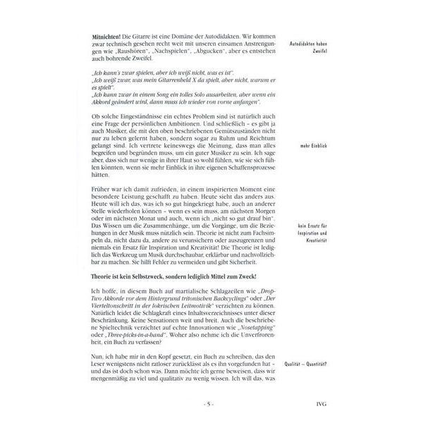 Voggenreiter In Vivo Guitar