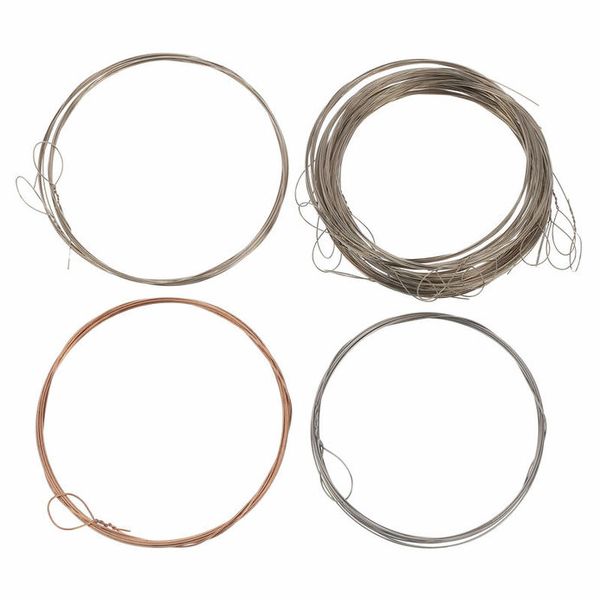 Thomann Nataraj Dilruba Strings Set