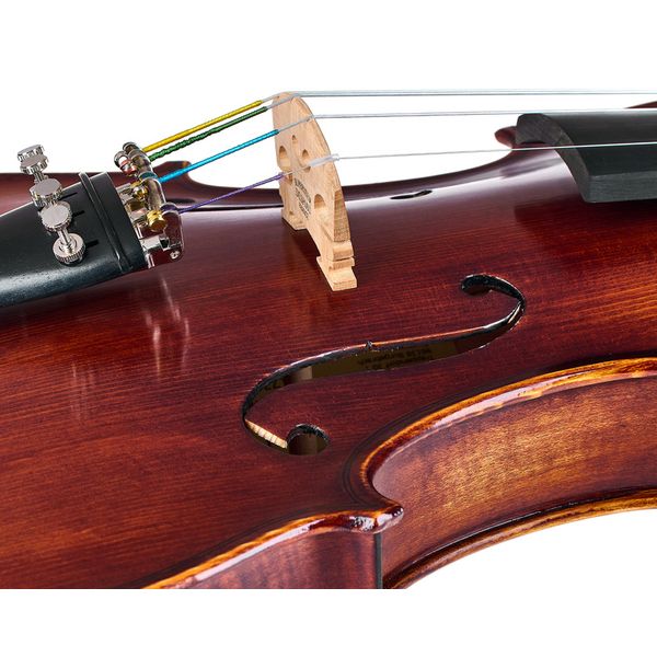 Roth & Junius Europe Orchestra Violin Set GE