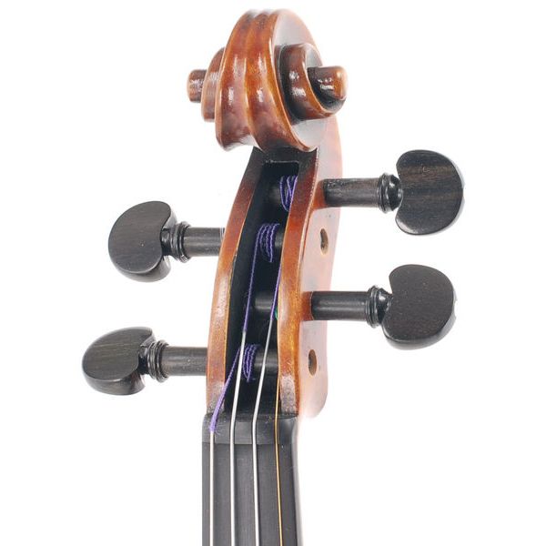 Karl Höfner H225-CB-V Carlo Bergonzi