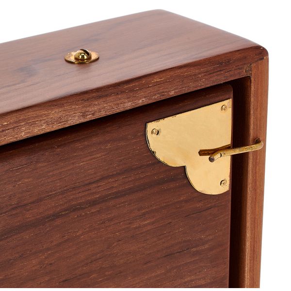 Thomann Nataraj Prof. Shruti Solid TW