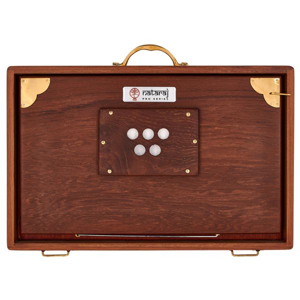 Thomann Nataraj Prof. Shruti Solid TW