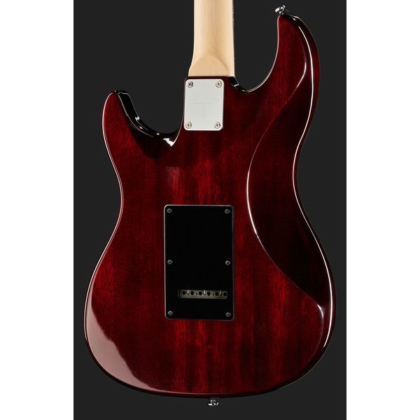 Larry Carlton S3 SSS TS