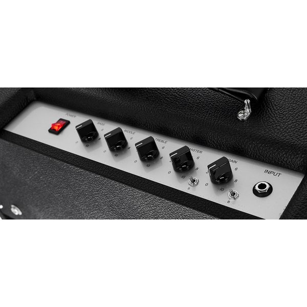 Friedman Little Sister Combo