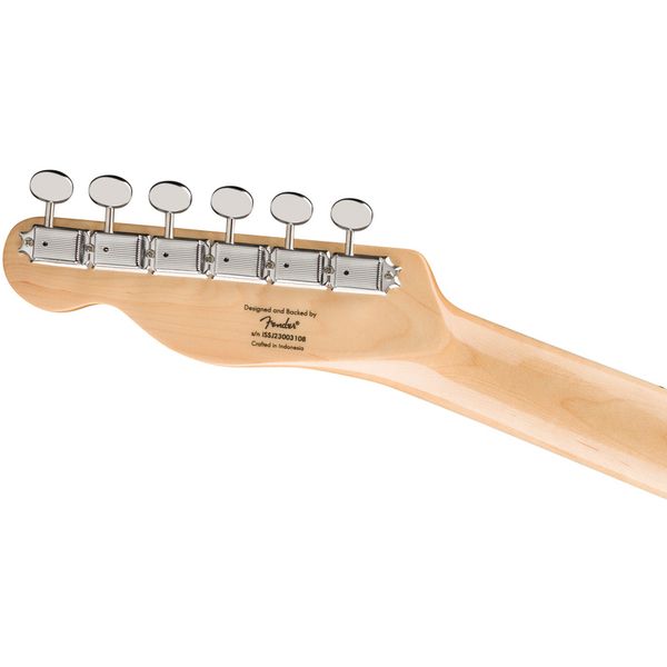 Squier LE Paranormal Off Tele OWT