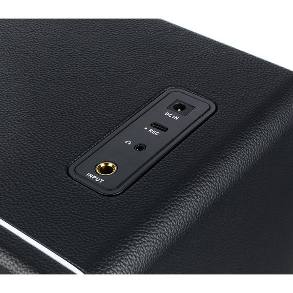 Mooer Hornet 30i Modeling Amp Black