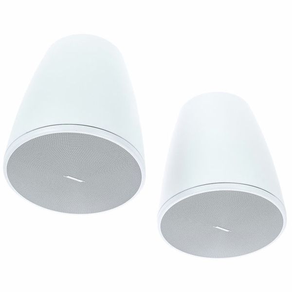 Bose Professional DesignMax DM6PE white