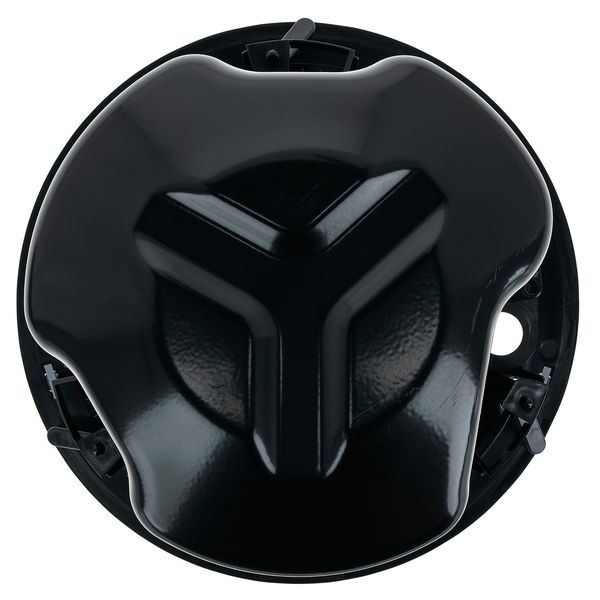 Bose Professional DesignMax DM5C black