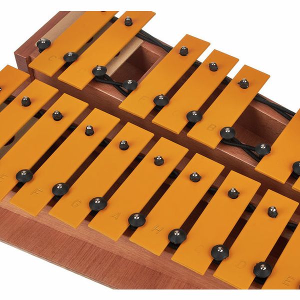 Studio 49 GSc Soprano Glockenspiel