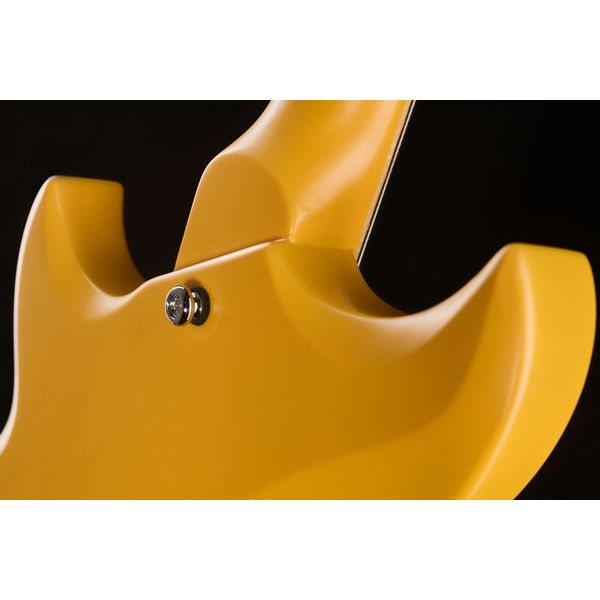 Reverend Mike Watt Wattplower MkII WY