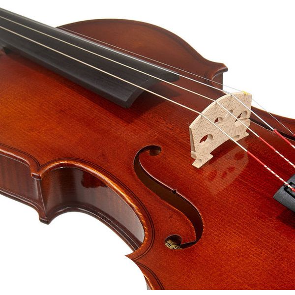 Franz Sandner 601 Violin Set 4/4