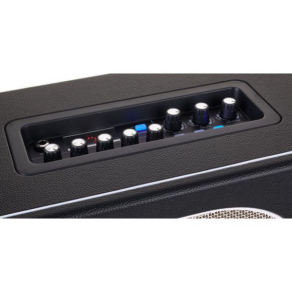 Mooer Hornet Black 30W Modeling Amp