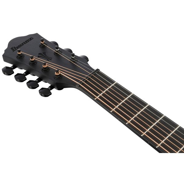 Ibanez AEG721-BOT