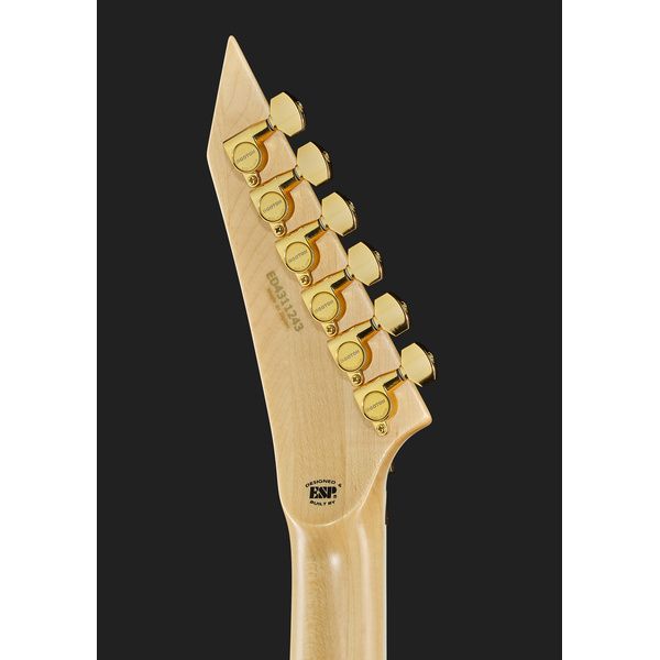 ESP Edwards E-ARROWHEAD