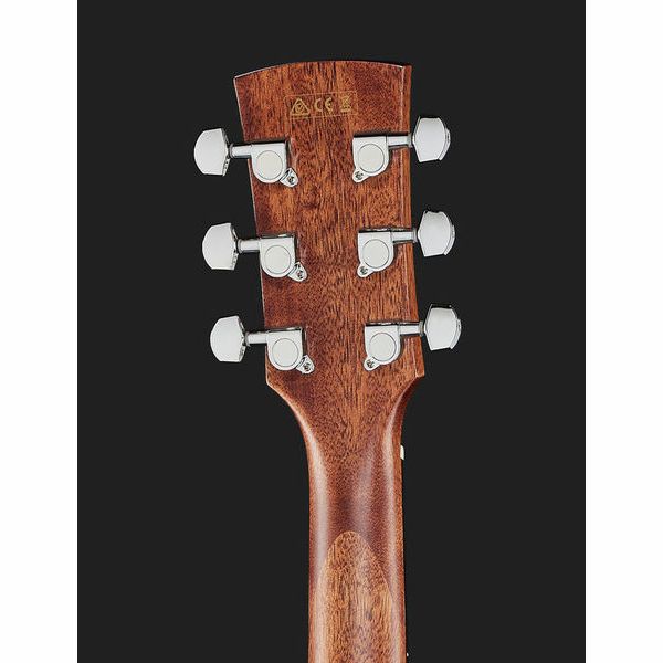 Ibanez AW65ECE-LG