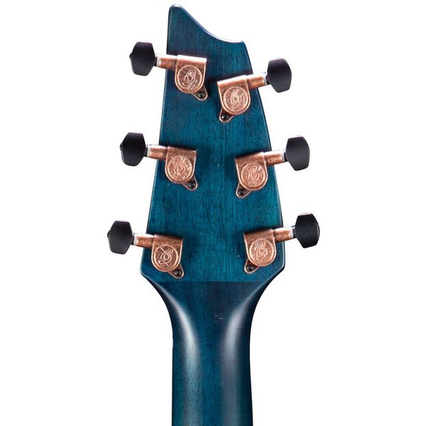 Breedlove Rainforest S Concert Papillon