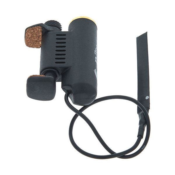 David Gage The Realist Viola QTR