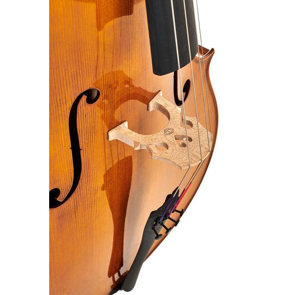 Gewa Georg Walther Concert Cello GA