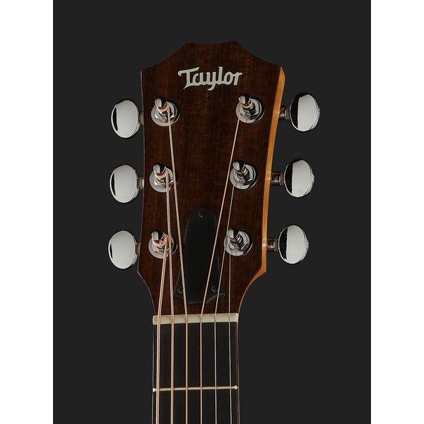 Taylor GS Mini Sapele Torrefied Top