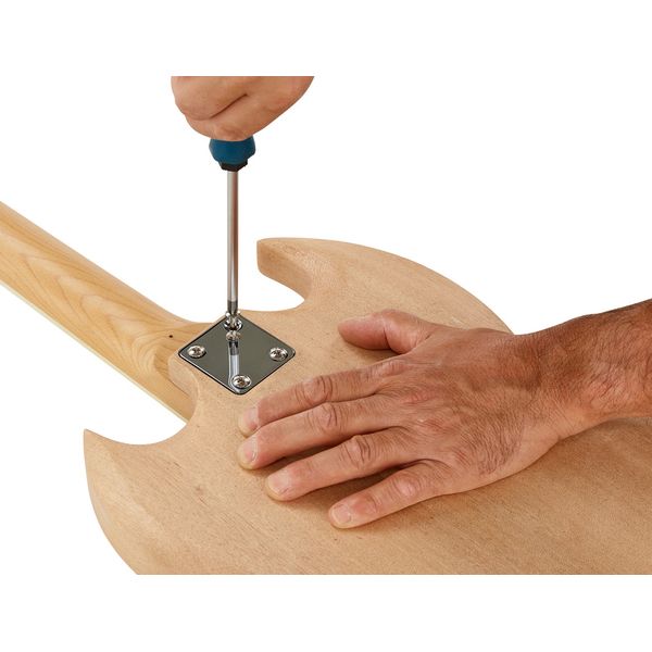 Harley Benton Electric Guitar Kit DC Style