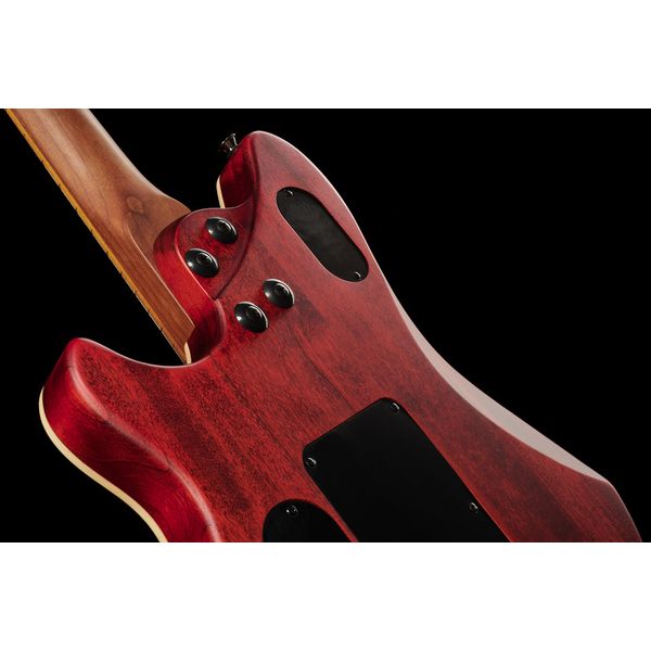 Evh Wolfgang WG Std Exotic BW