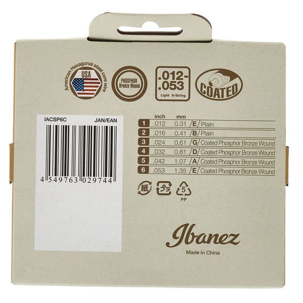 Ibanez IACSP6C Acoustic Steel Strings