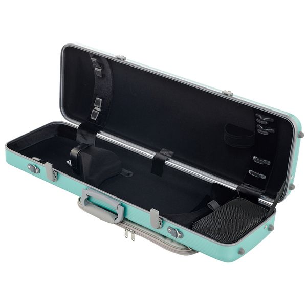 Gewa Pure Vn Case OC Fun G/G