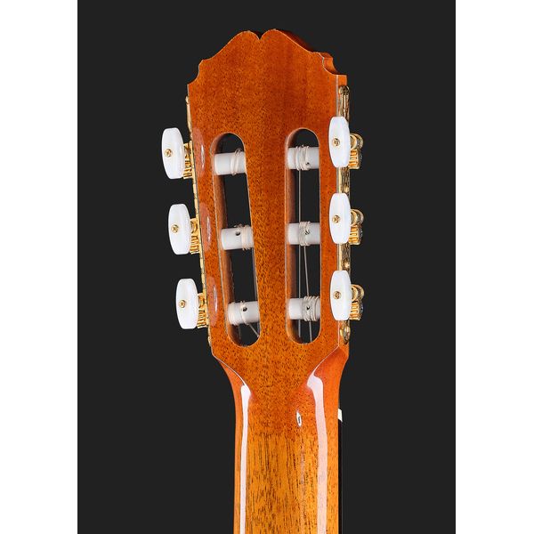 Takamine DH90 w/Softcase