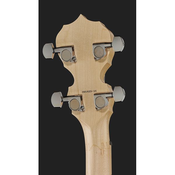 Deering Goodtime Two Banjo