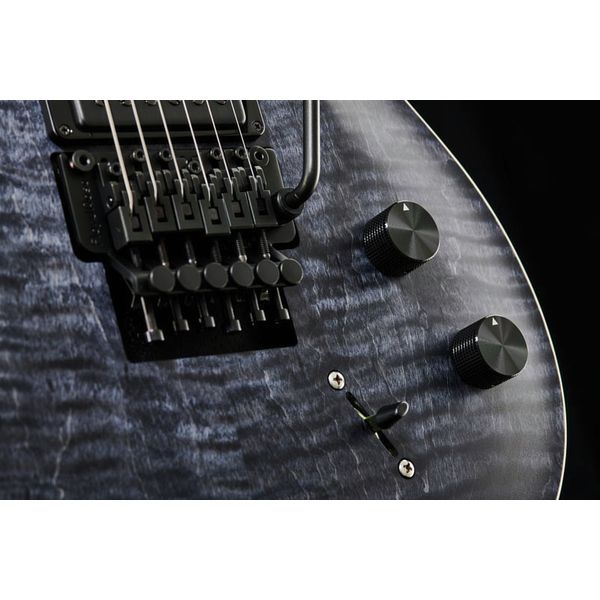 PRS CE 24 Dustie Waring Floyd GB