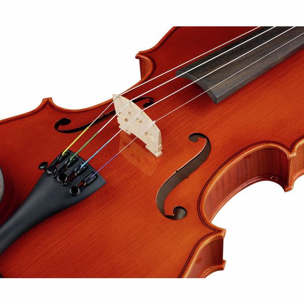 Karl Höfner Concert 4/4 Violin Outfit