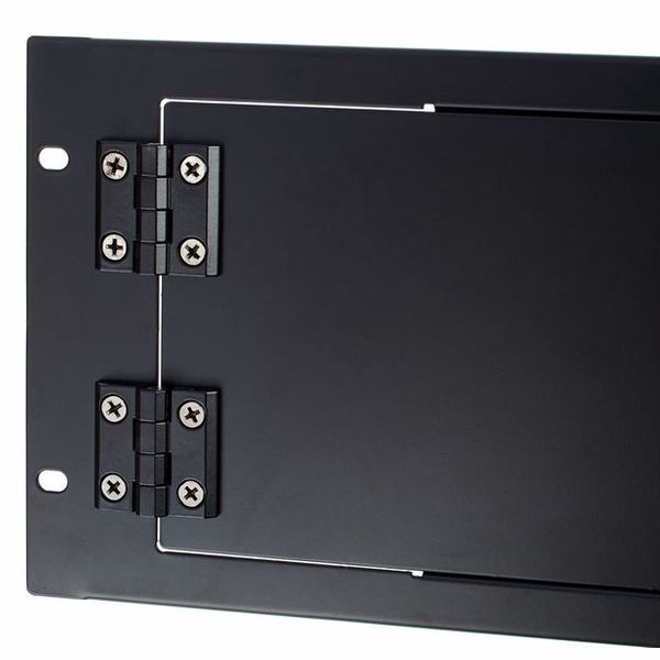 Millenium Rackdoor 4U