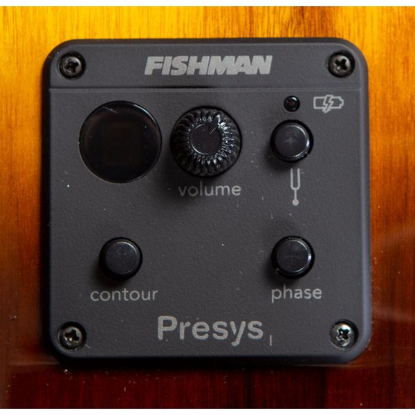 Breedlove Pursuit Exotic S Concert CE TE