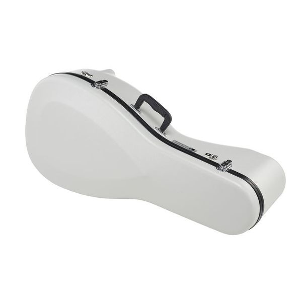 Shuster Renaissance Lute Case