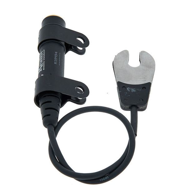 David Gage The Realist Regular Life Line