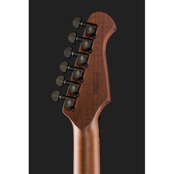 Harley Benton Guitar MAX Fusion Signature HO