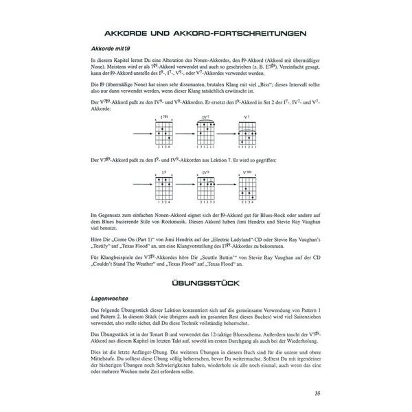 Voggenreiter Blues You Can Use