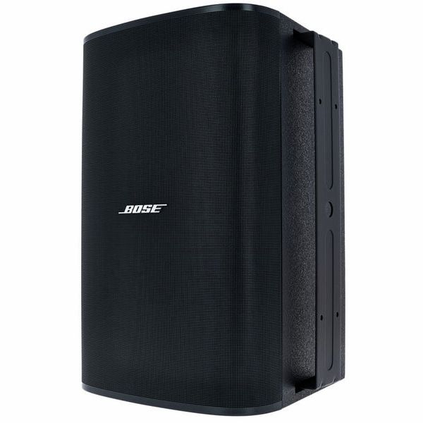 Bose Professional DesignMax DM10S-SUB black