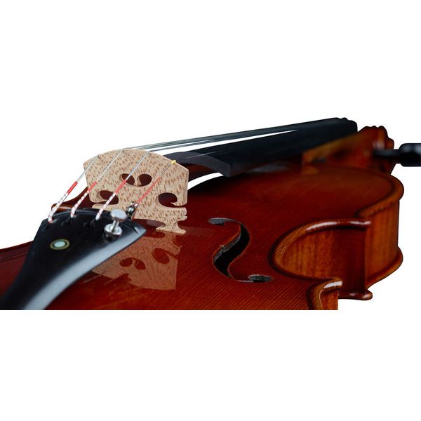 Ernst Heinrich Roth 64/IX-R Master Violin