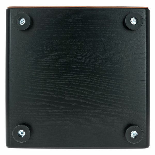 PUR Vision Pro Black&Gold Cajon