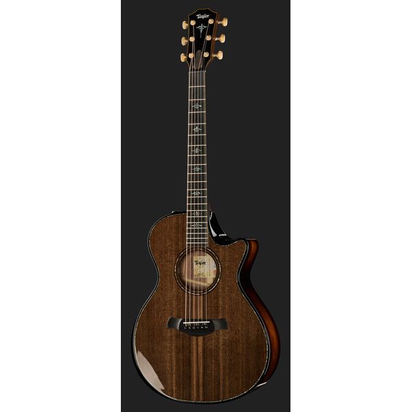 Taylor Builders Edition 912ce Sinker