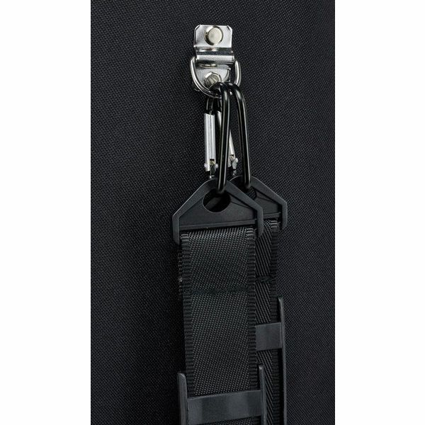 Roth & Junius Violin Shaped Case Eva BK 4/4