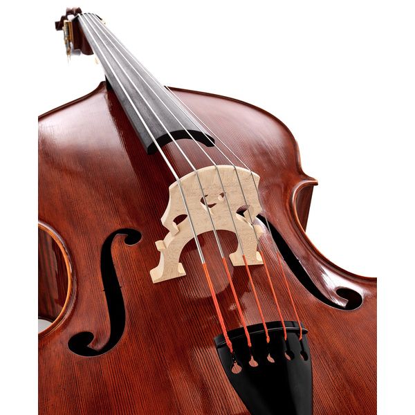 Scala Vilagio Double Bass Rogeri 5-Str. IB