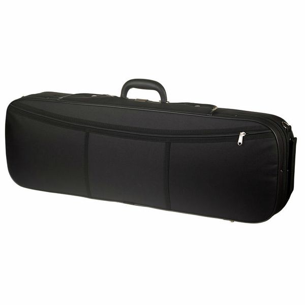 Karl Höfner Allegro 4/4 Violin Outfit