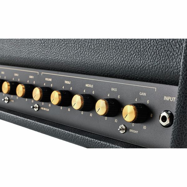 Friedman BE-100 Deluxe Head